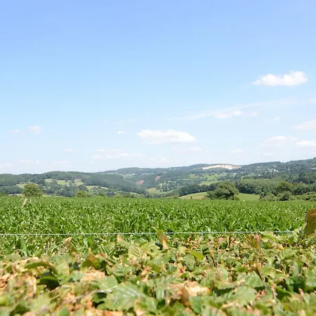 度假居 Modern Holiday In Malmedy With A Garden